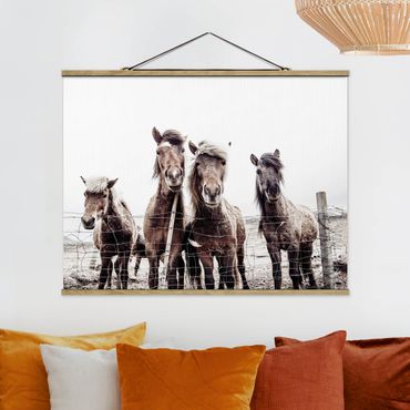 Stoffen schilderij met posterlijst Icelandic Horse