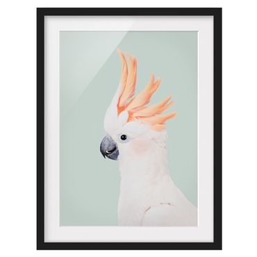 Ingelijste posters - Cockatoo in front of pastel blue