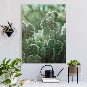 Canvas schilderijen Cacti