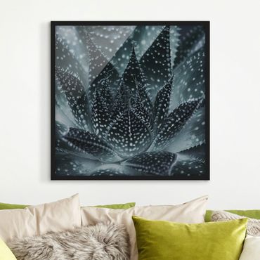 Ingelijste posters Cactus Drizzled With Starlight At Night