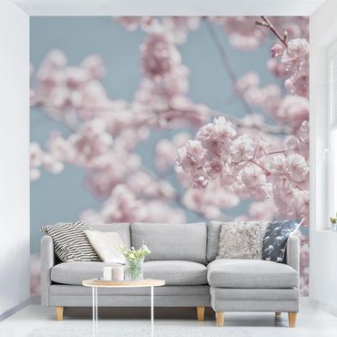 Fotobehang Cherry Blossom Party