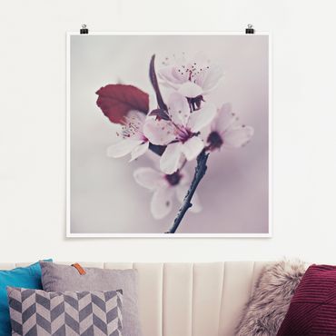 Posters Cherry Blossom Branch Antique Pink