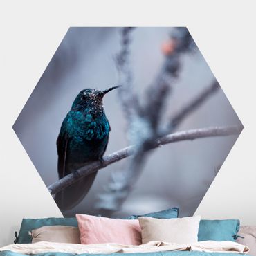 Hexagon Behang Hummingbird In Winter