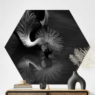 Hexagon Behang Crowned Crane Bow Black And White