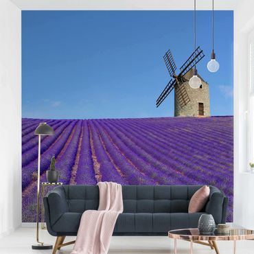 Fotobehang Lavender Scent In The Provence