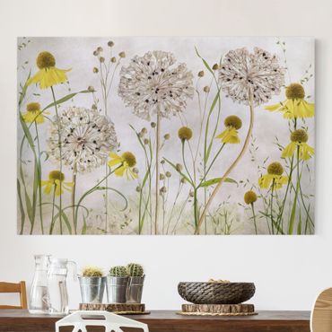 Canvas schilderijen Allium And Helenium Illustration