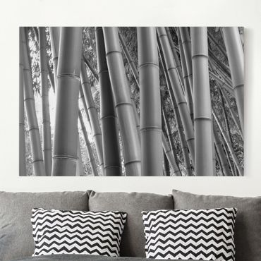 Canvas schilderijen Bamboo