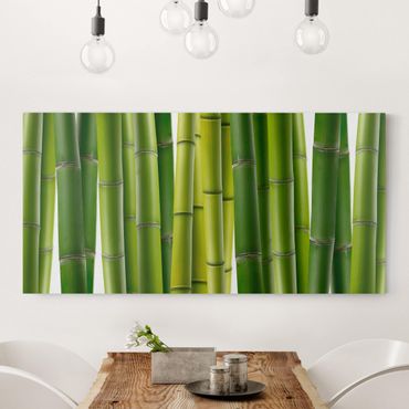 Canvas schilderijen Bamboo Plants