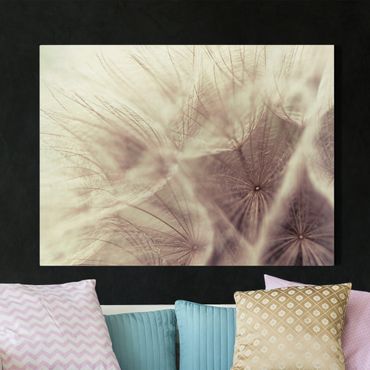 Canvas schilderijen Detailed Dandelion Macro Shot With Vintage Blur Effect