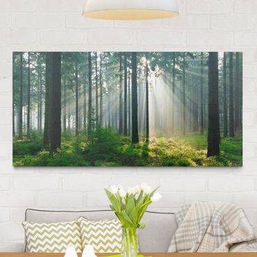 Canvas schilderijen Enlightened Forest