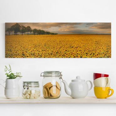 Canvas schilderijen Field With Sunflowers