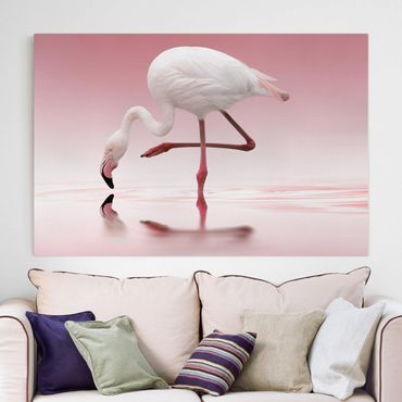 Canvas schilderijen Flamingo Dance