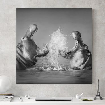 Canvas schilderijen Hippo Fight
