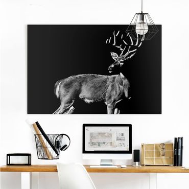 Canvas schilderijen Deer In The Dark