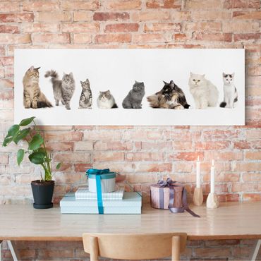 Canvas schilderijen Cat Gang