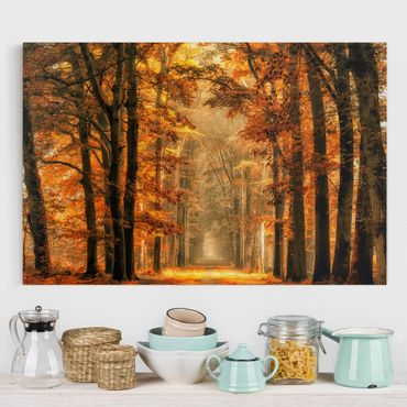 Canvas schilderijen Enchanted Forest In Autumn