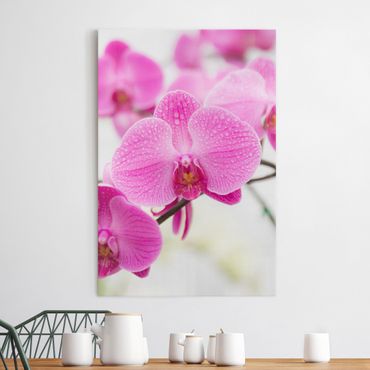 Canvas schilderijen Close-Up Orchid