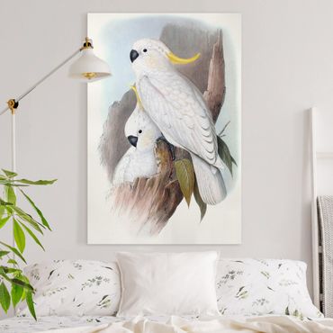 Canvas schilderijen Pastel Parrots III