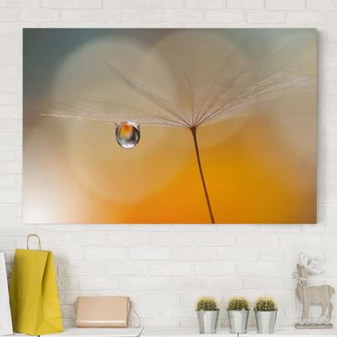 Canvas schilderijen Dandelion In Orange