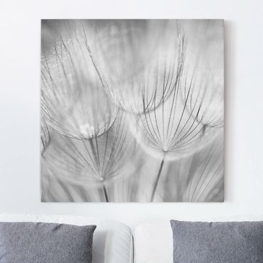 Canvas schilderijen Dandelions Macro Shot In Black And White