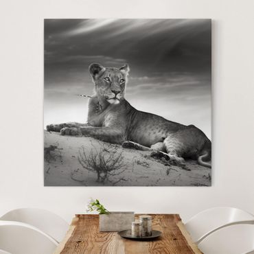 Canvas schilderijen Resting Lion