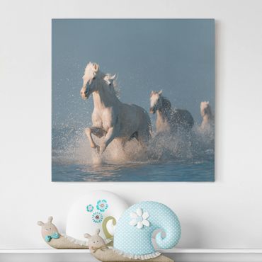 Canvas schilderijen Herd Of White Horses