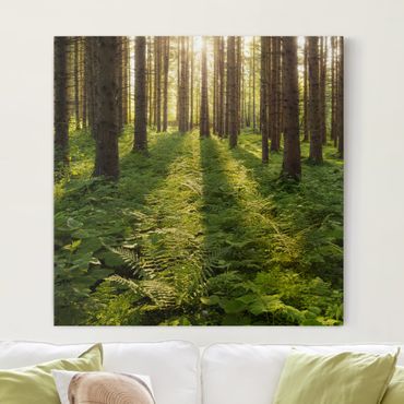 Canvas schilderijen Sun Rays In Green Forest
