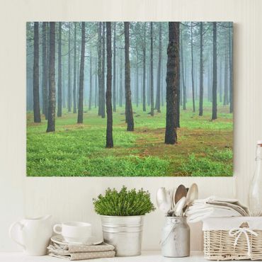 Canvas schilderijen Deep Forest With Pine Trees On La Palma