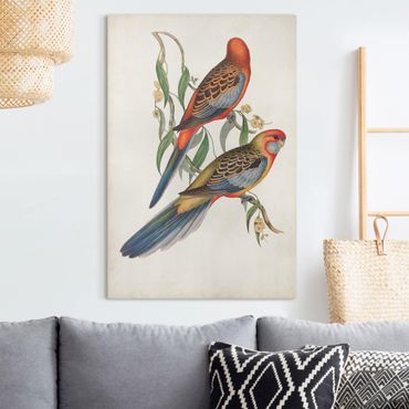 Canvas schilderijen Tropical Parrot II