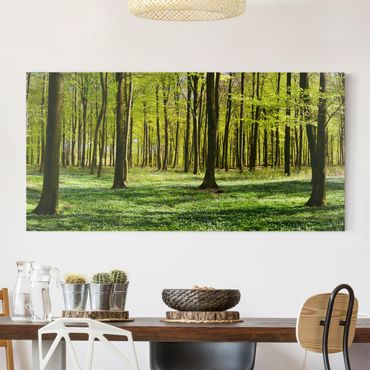 Canvas schilderijen Forest Meadow