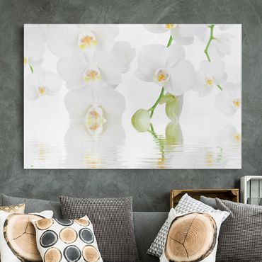 Canvas schilderijen Spa Orchid - White Orchid