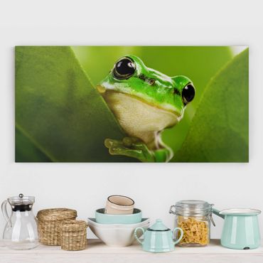 Canvas schilderijen Frog