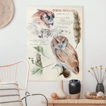 Canvas schilderijen Wilderness Journal - Owl