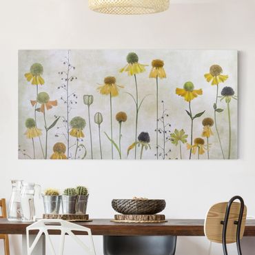 Canvas schilderijen Delicate Helenium Flowers