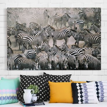 Canvas schilderijen Zebra Herd