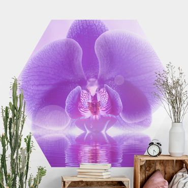 Hexagon Behang Purple Orchid On Water