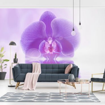 Fotobehang Purple Orchid On Water