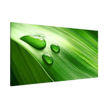 Magneetborden Banana Leaf With Drops
