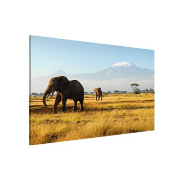 Magneetborden Elephants In Front Of The Kilimanjaro In Kenya