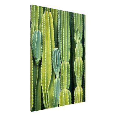 Magneetborden Cactus Wall