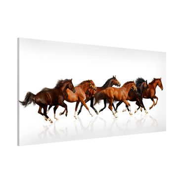 Magneetborden Horse Herd