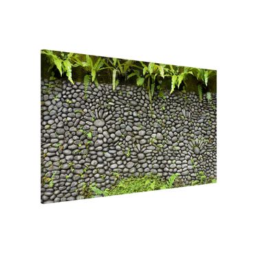 Magneetborden Stone Wall With Plants