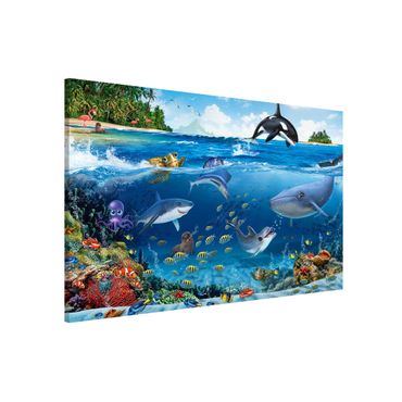 Magneetborden Animal Club International - Underwater World With Animals