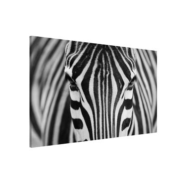 Magneetborden Zebra Look