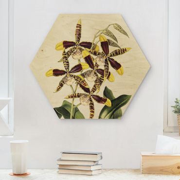 Hexagons houten schilderijen - Maxim Gauci – Orchid II