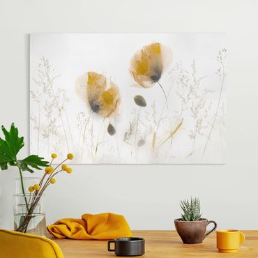 Canvas schilderijen Poppy Flowers And Delicate Grasses In Soft Fog