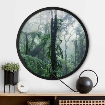 Rond schilderijen Foresta nuvolosa di Monteverde