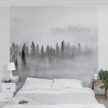 Fotobehang - Fog In The Fir Forest Black And White