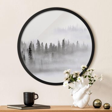 Rond schilderijen Nebbia nel bosco di abeti in bianco e nero