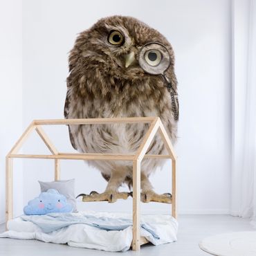 Fotobehang Curious Owl